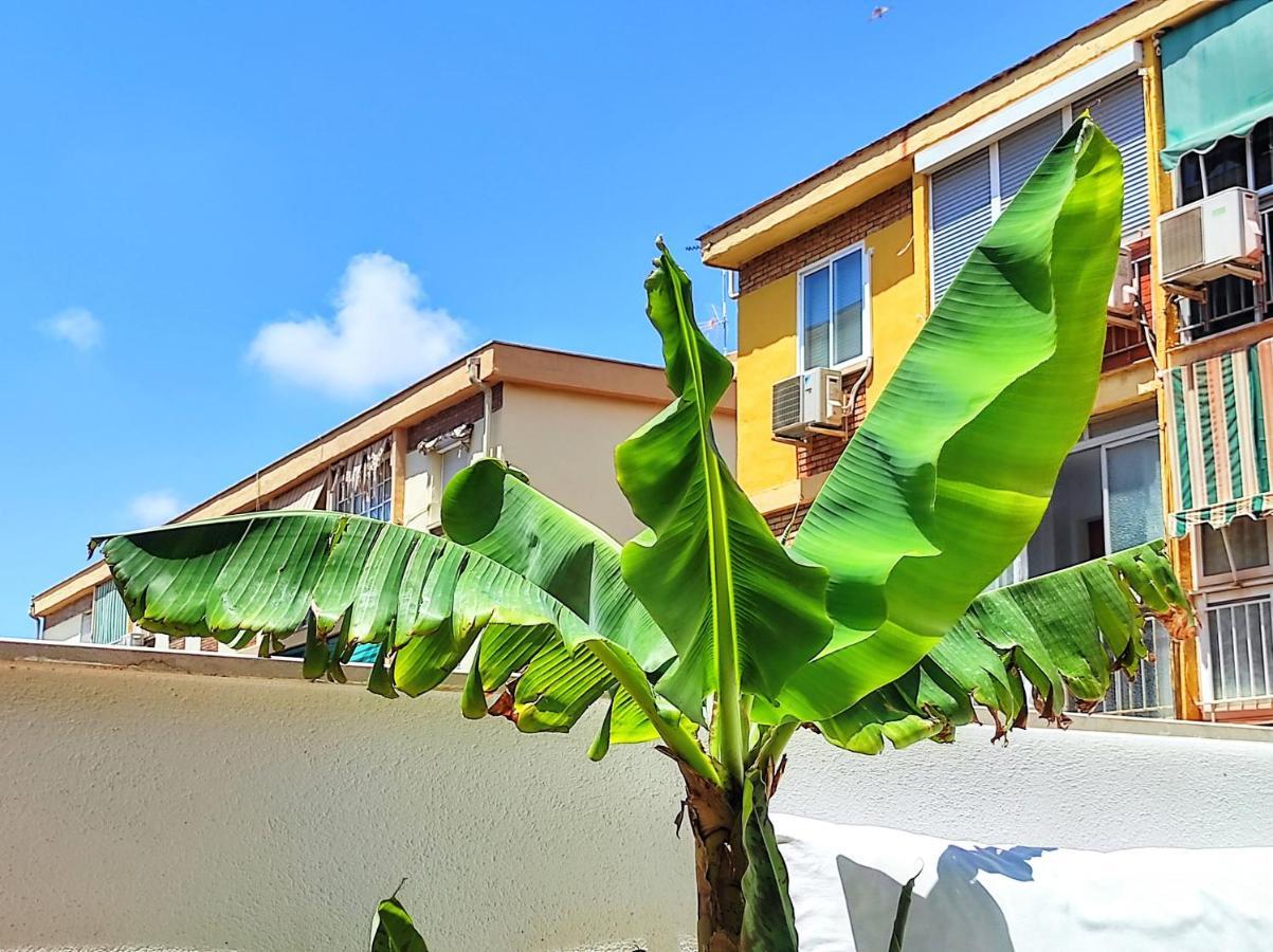 Manuela Nogales Apartments! Malaga Zewnętrze zdjęcie